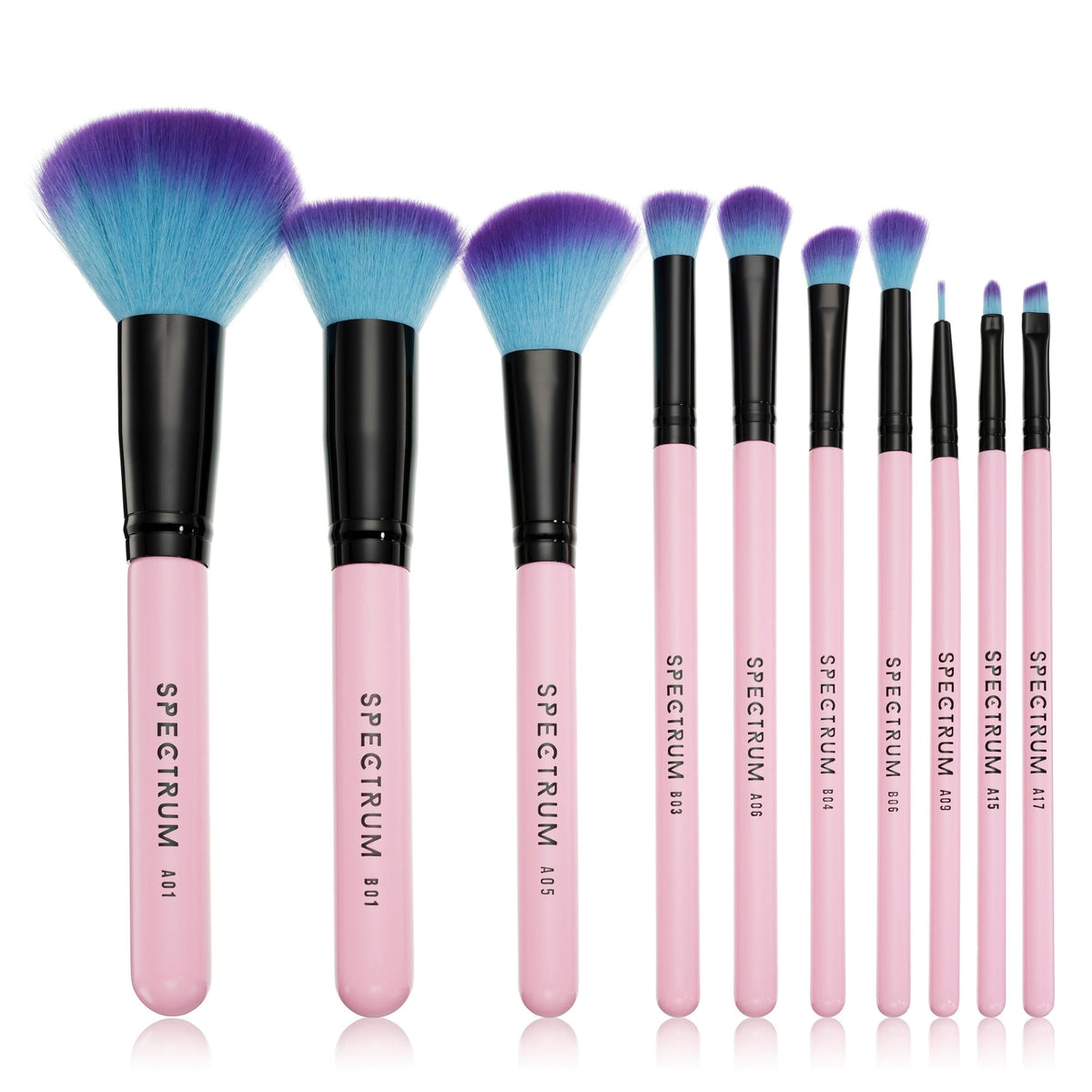 10 Piece Essential Makeup Brush Set