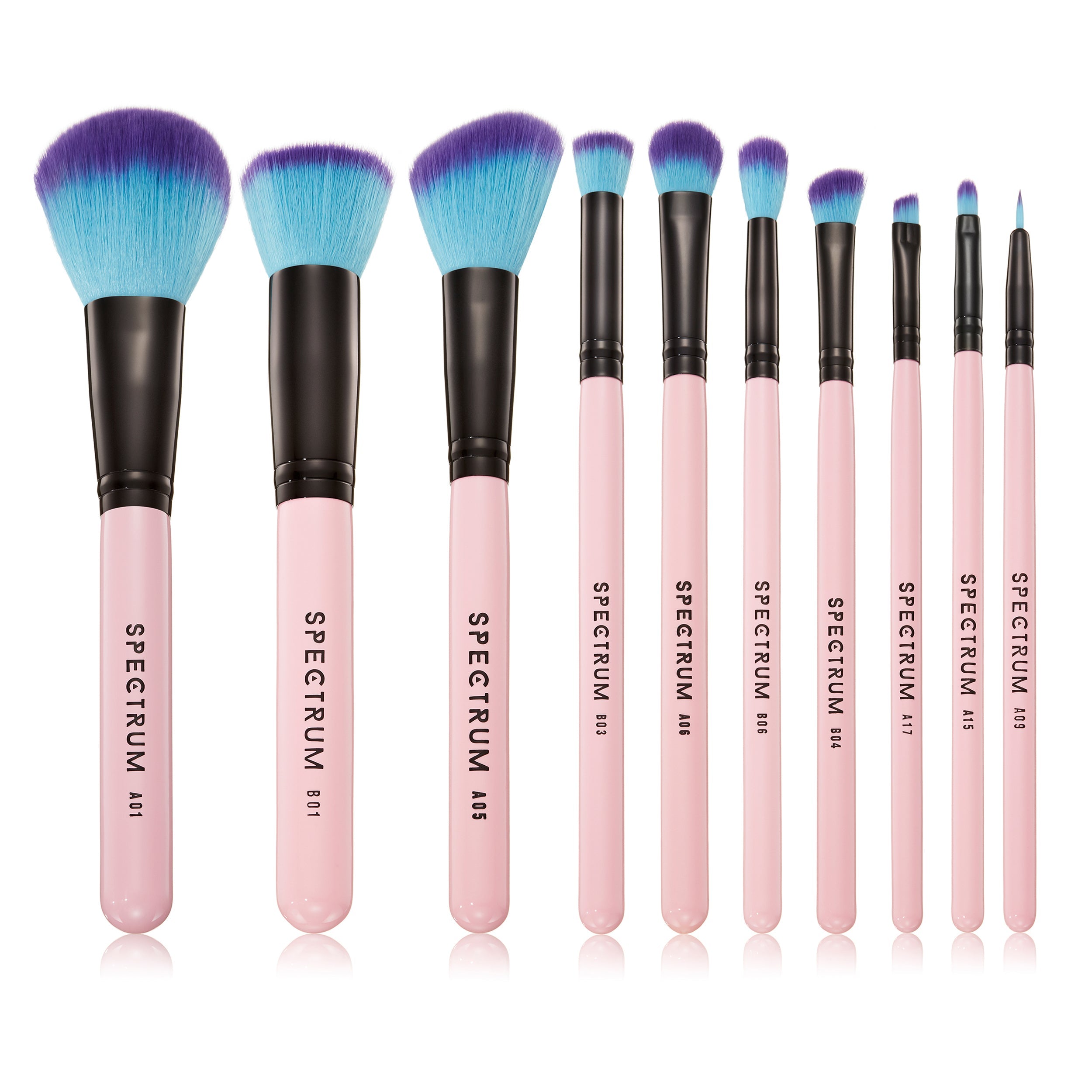 10 Piece Essential Brush Set | Spectrum Collections – Spectrum