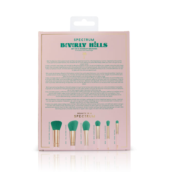Beverly Hills 6 Piece Brush Set