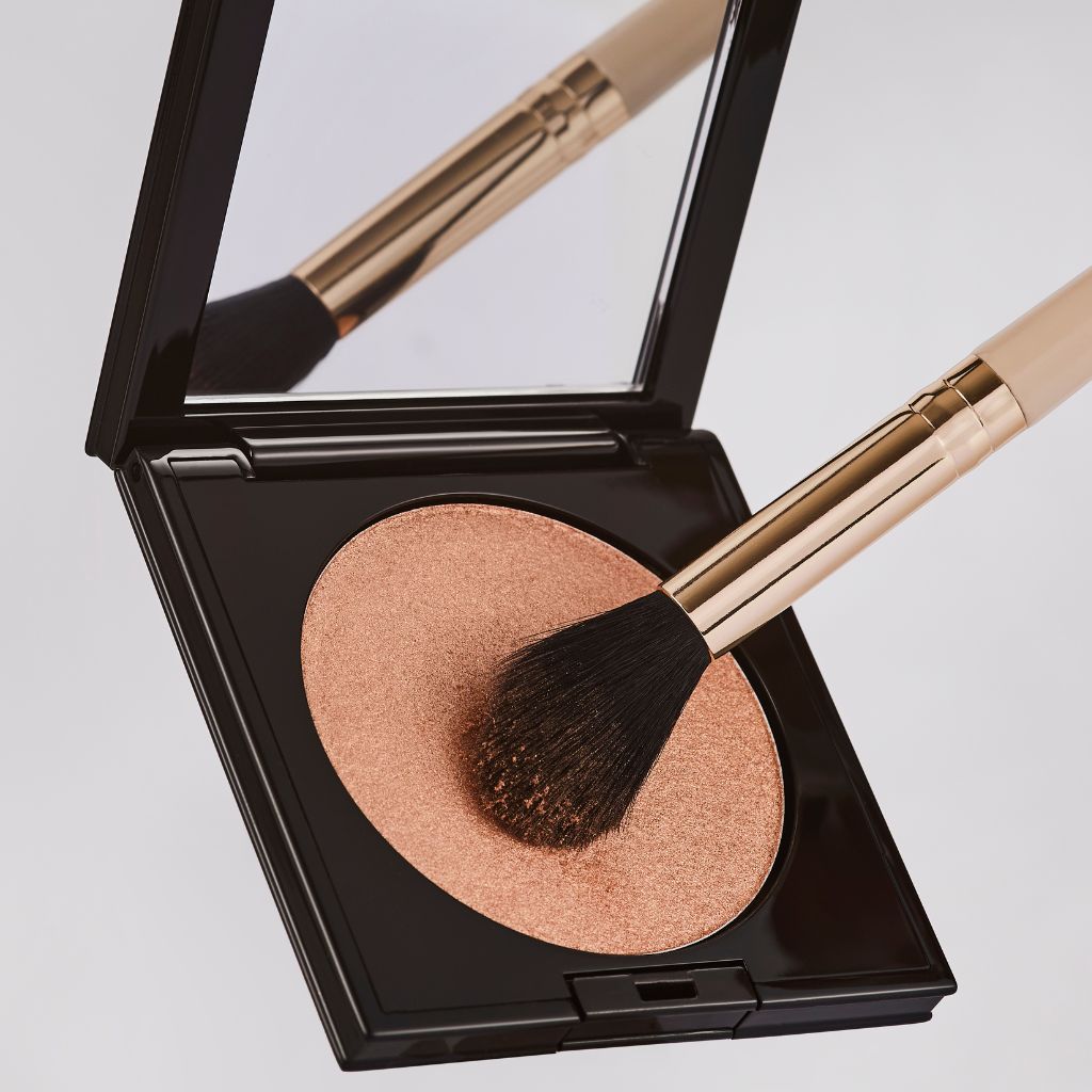 Paris Travel Book 6 Piece Brush Set – Spectrum Collections US