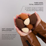 Pantherine Pro 6 Piece Sponge Set