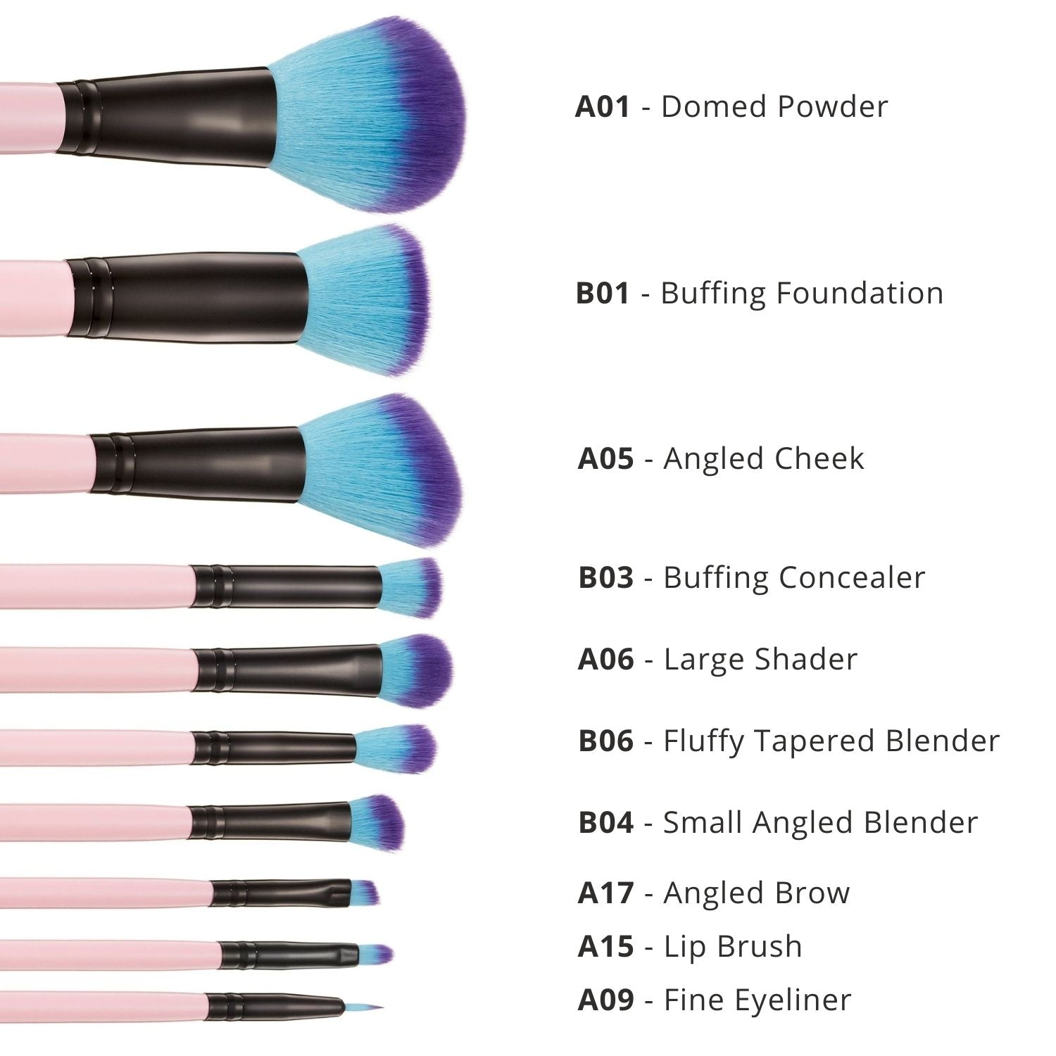 10 Piece Essential Brush Set | Spectrum Collections – Spectrum