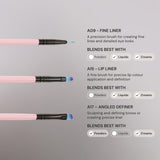 10 Piece Essential Makeup Brush Set