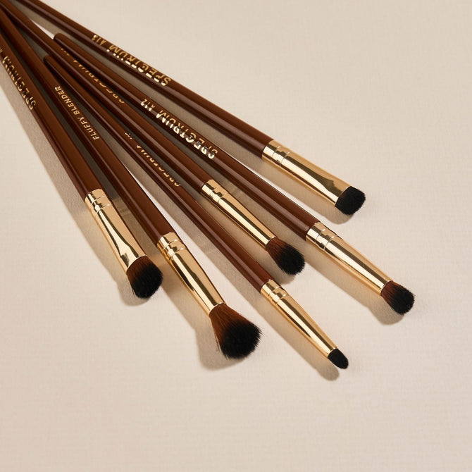 Pantherine 6 Piece Eye Makeup Brush Set