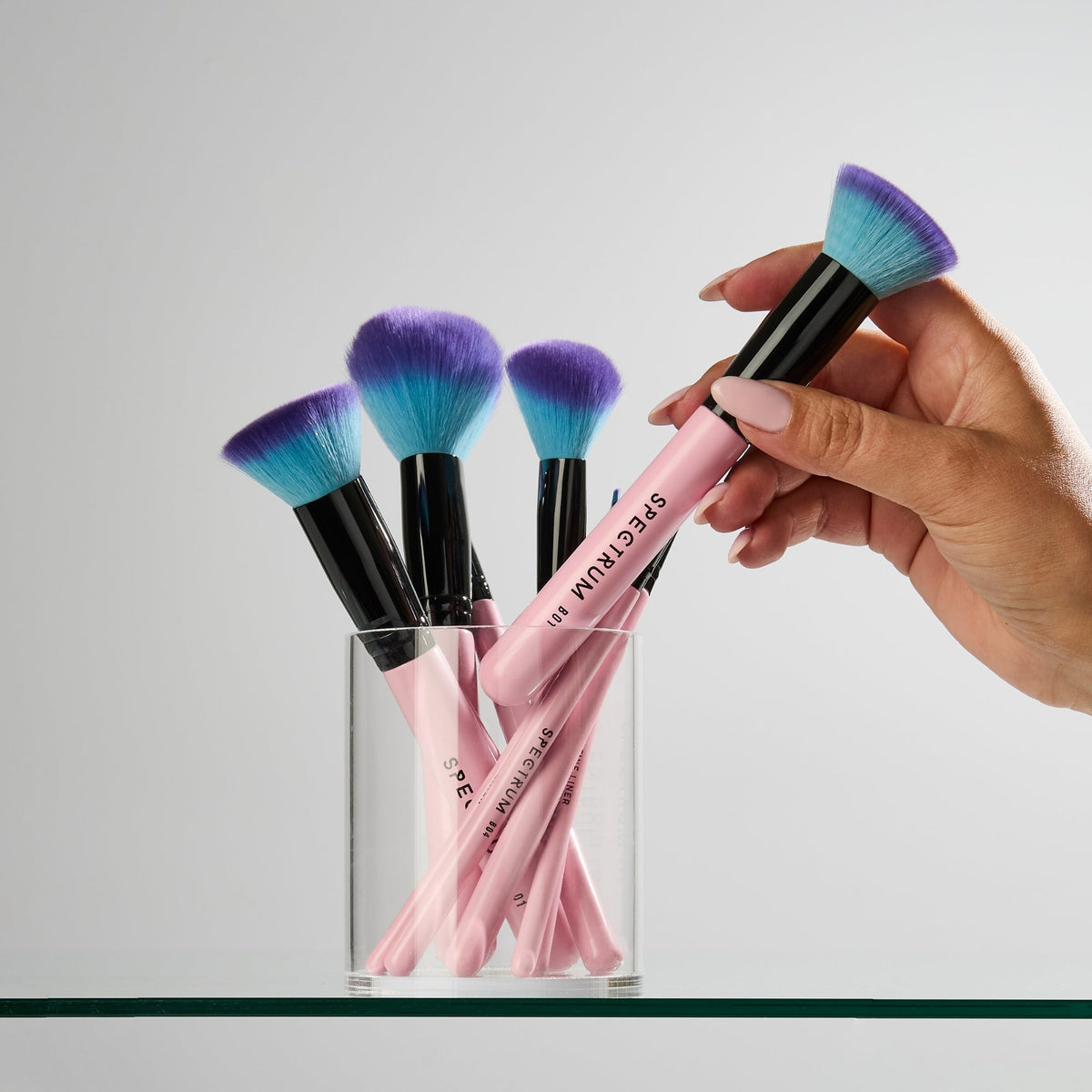 10 Piece Essential Makeup Brush Set