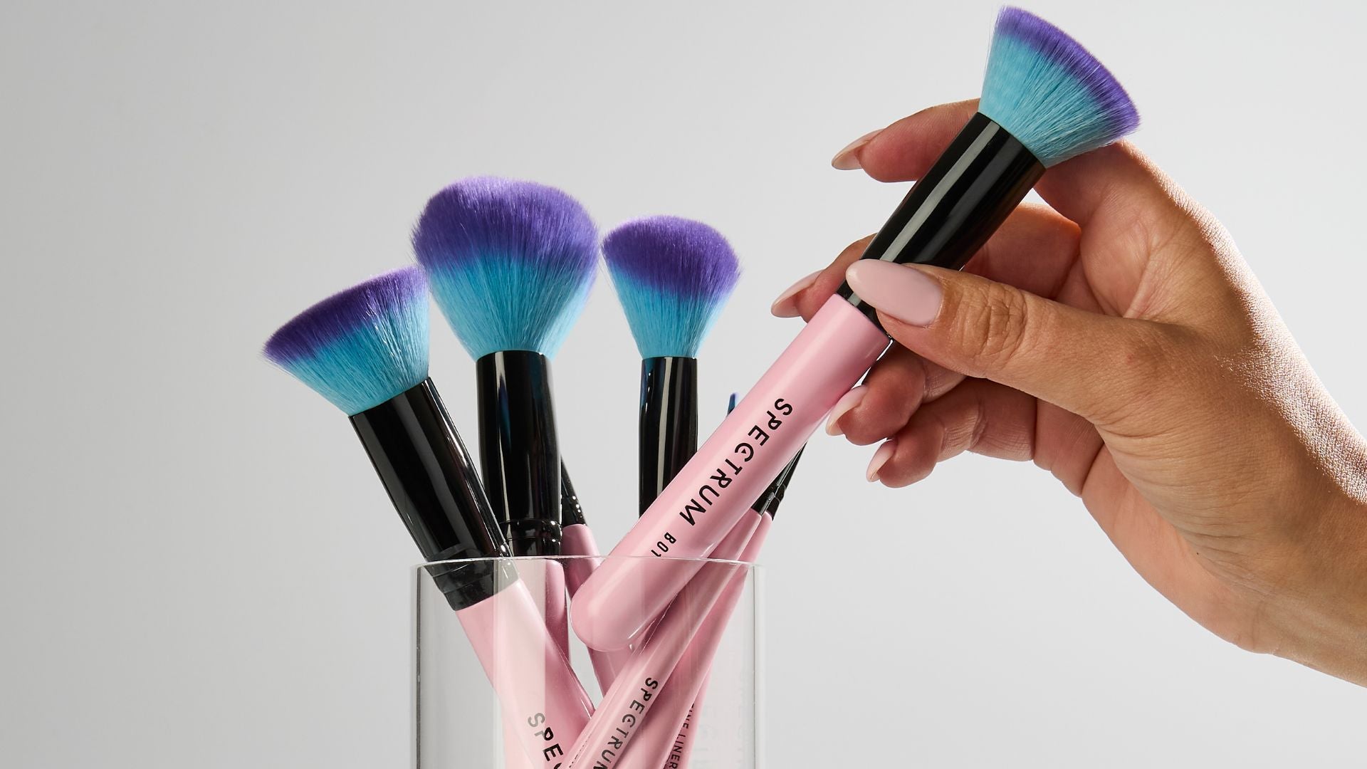 Paris Travel Book 6 Piece Brush Set – Spectrum Collections US