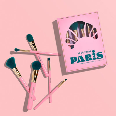 Paris Travel Book 6 Piece Brush Set